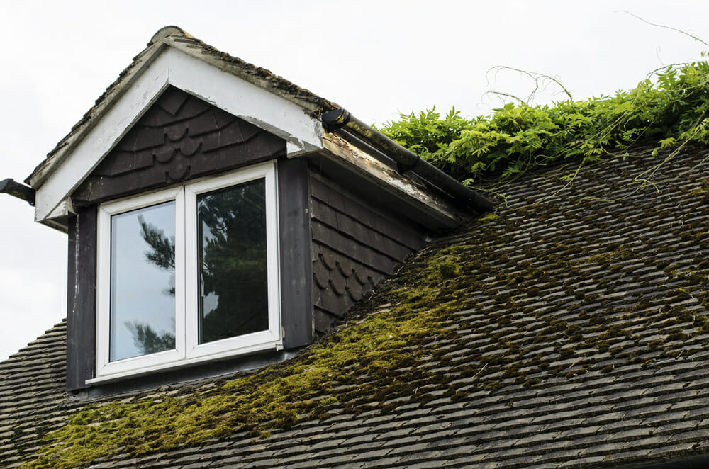 Is It Time to Replace Your Roof?