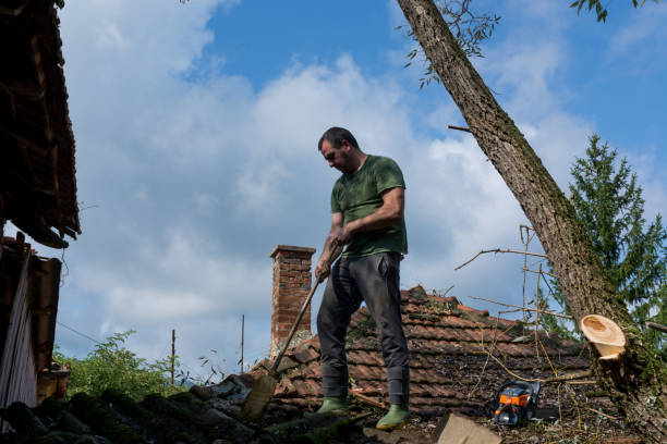 Crew securing storm-damaged shingles on Madison home after wind and heavy rain