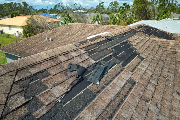 Roofers replacing storm-damaged shingles on Evanston home near mature trees
